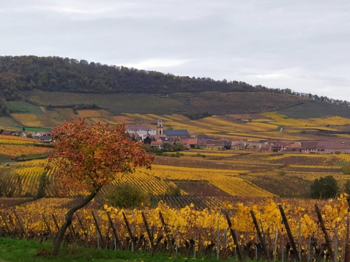 Le Bubele Au Coeur Du Centre Medieval Et Vignoble Ribeauvillé Kültér fotó